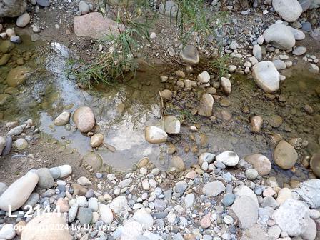 location photo L-2144