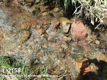location photo L-2150