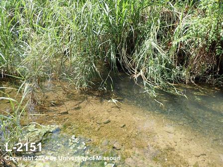 location photo L-2151