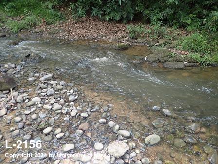 location photo L-2156