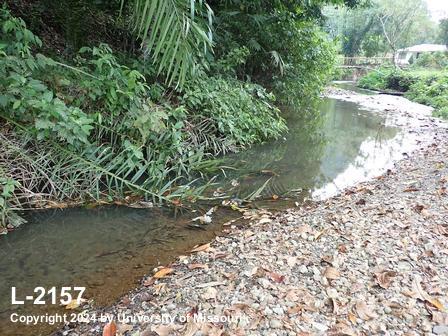 location photo L-2157