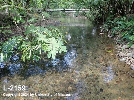 location photo L-2159