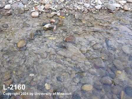 location photo L-2160