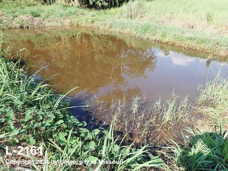 location photo L-2161
