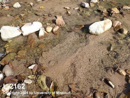 location photo L-2162