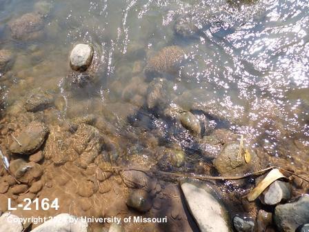 location photo L-2164