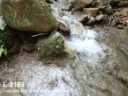 location photo L-2169