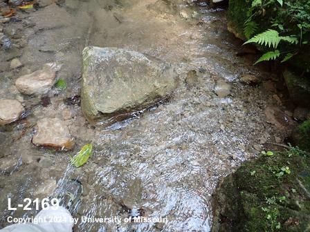 location photo L-2169