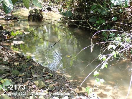 location photo L-2173
