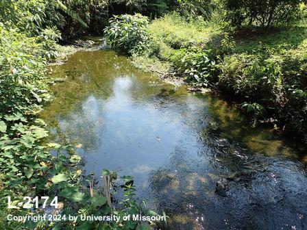 location photo L-2174