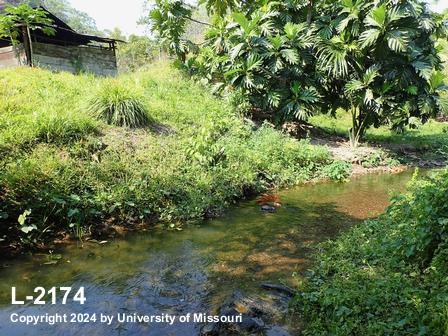 location photo L-2174