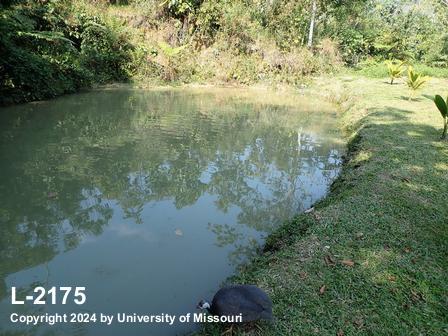 location photo L-2175