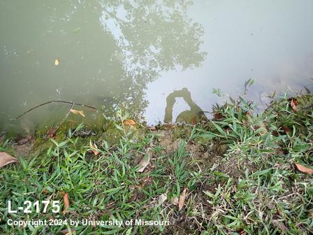 location photo L-2175
