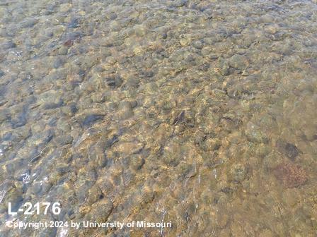 location photo L-2176
