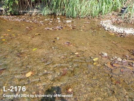 location photo L-2176