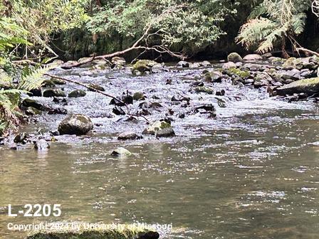 location photo L-2205