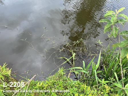 location photo L-2208